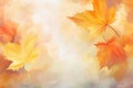 Watercolor drawing falling autumn multicolored maple foliage on light defocused background. Natural backgdrop with copy space. Royalty Free Stock Photo