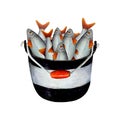 Watercolor drawing fishing bucket, black and white with red handle. Full of fish with red fins. Angling gear for