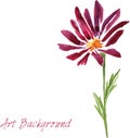 Watercolor drawing flower Royalty Free Stock Photo