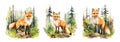 Watercolor drawing fox in forest. Red foxes in habitat on nature. Wild animals graphic art design, vector decorative