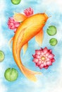 Watercolor drawing of a golden fish in water with lotus flowers Royalty Free Stock Photo