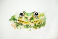 Illustration of green frog Royalty Free Stock Photo