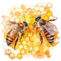 honeycombs and bees. illustration on the theme of beekeeping, farming, natural products