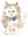 Watercolor drawing, illustration. Fluffy cat with a blue bow.