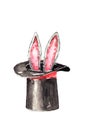 Watercolor drawing of magician`s hat with pink rabbit`s ears. Illustration isolated on white background