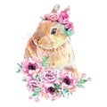 Watercolor drawing with a picture of a cute rabbit in flowers Royalty Free Stock Photo