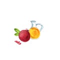 Watercolor drawing pomegranate seed oil