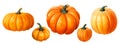 pumpkin set. autumn holiday, harvest, thanksgiving. orange pumpkins, vintage style illustration