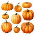 pumpkin set. autumn holiday, harvest, thanksgiving. orange pumpkins, vintage style illustration Royalty Free Stock Photo