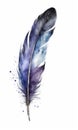 watercolor drawing of a raven feather. Hand drawn illustration isolated on white background. Royalty Free Stock Photo