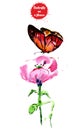 Watercolor Drawing Red Butterfly On A Flower