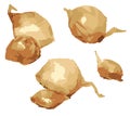 Watercolor drawing of ripe onion for cooking Royalty Free Stock Photo