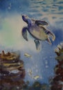 Watercolor drawing of a sea turtle and fish swimming in the water column.