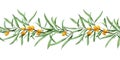 Watercolor drawing seamless border with sea buckthorn. web banner, frame, border with berries and sea buckthorn leaves on a white