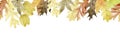 Watercolor Drawing Seamless Border, Web Banner With Dry Autumn Oak, Maple Leaves. Yellow And Red Leaves, Cute Print On The Theme O