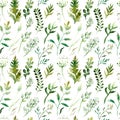 Watercolor drawing seamless pattern of field plants, flowers and herbs Royalty Free Stock Photo