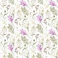 Watercolor drawing seamless pattern of field plants, flowers and herbs Royalty Free Stock Photo