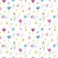 Watercolor drawing seamless pattern of field plants, flowers and herbs Royalty Free Stock Photo