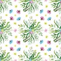 Watercolor drawing seamless pattern of field plants, flowers and herbs Royalty Free Stock Photo