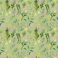 Watercolor drawing seamless pattern of field plants, flowers and herbs Royalty Free Stock Photo