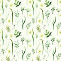 Watercolor drawing seamless pattern of field plants, flowers and herbs Royalty Free Stock Photo