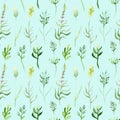 Watercolor drawing seamless pattern of field plants, flowers and herbs Royalty Free Stock Photo