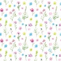 Watercolor drawing seamless pattern of field plants, flowers and herbs Royalty Free Stock Photo