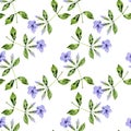 watercolor drawing seamless pattern with minnieroot Royalty Free Stock Photo