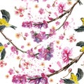 Watercolor drawing seamless pattern on the theme of spring, heat, illustration of a bird of a sparrow-like fleet of Orioles flying Royalty Free Stock Photo