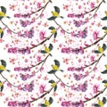 Watercolor drawing seamless pattern on the theme of spring, heat, illustration of a bird of a sparrow-like fleet of Orioles flying Royalty Free Stock Photo