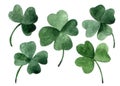 watercolor drawing, set of green four-leaf clover leaves Royalty Free Stock Photo