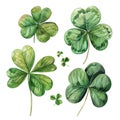 watercolor drawing, set of green four-leaf clover leaves. decoration for st. patrick\'s day. Royalty Free Stock Photo