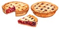 set of a piece of cherry pie. classic berry pie, illustration in vintage style. clipart