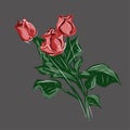 Watercolor drawing several roses. Plants, flowers, spring, joy, romance. Vector isolated image.