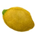 Watercolor drawing of a single yellow ripe citrus fruit