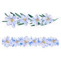 Watercolor drawing of spring flowers Narcissus. Hand drawn painting of beautiful plant. Common genus names daffodil,