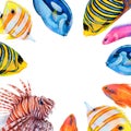 Watercolor drawing square frame from colorful fish: royal angel, lionfish, golden antias, butterfly fish, surgeonfish