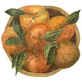 Mandarin Orange in watercolor. Mandarin orange fruit - hand painted drawing. Cozy winter clip art set.