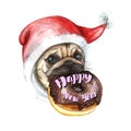 A watercolor drawing on the theme of the new year and the birth, a dog of the pug breed in a santa cap wearing a donut holding a d