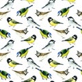 Tit birds seamless