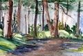 Watercolor drawing a travel sketch pine forest permeated by sunlight