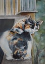 Watercolor drawing of a tricolor cat of the Kuril bobtail breed