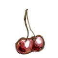 Watercolor drawing of two bold dark red cherries on a leg isolated on a white background.