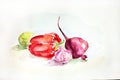 Watercolor drawing of vegetables on white background. Illustration of pepper, garlic and red beet