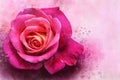 A watercolor drawing of a vibrant pink rose flower. Botanical art. Decorative element for a greeting card or wedding invitation