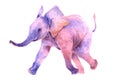 Watercolor drawing. Walk a little pink baby elephant Royalty Free Stock Photo