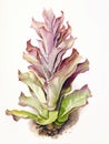 Watercolor Drawing of Welwitschia Mirabilis on White Background AI Generated