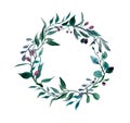 Watercolor drawing of a wreath of green branches of eucalyptus and olive tree