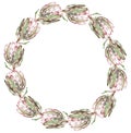 Round pink protea frame. Watercolor exotic floral illustration.