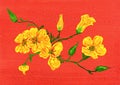 Watercolor drawing. yellow flower on red